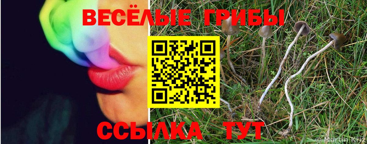 Галлюциногенные грибы прущие грибы  Псилоцибиновые грибы мицелий  Вход с VPN  Россошь 