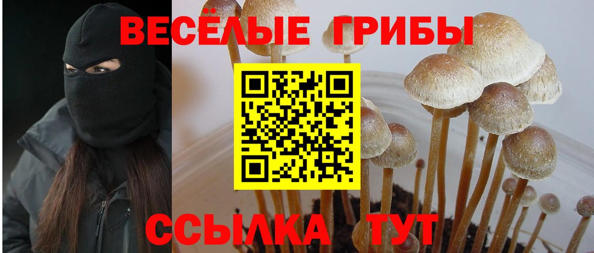 Псилоцибиновые грибы GOLDEN TEACHER Россошь